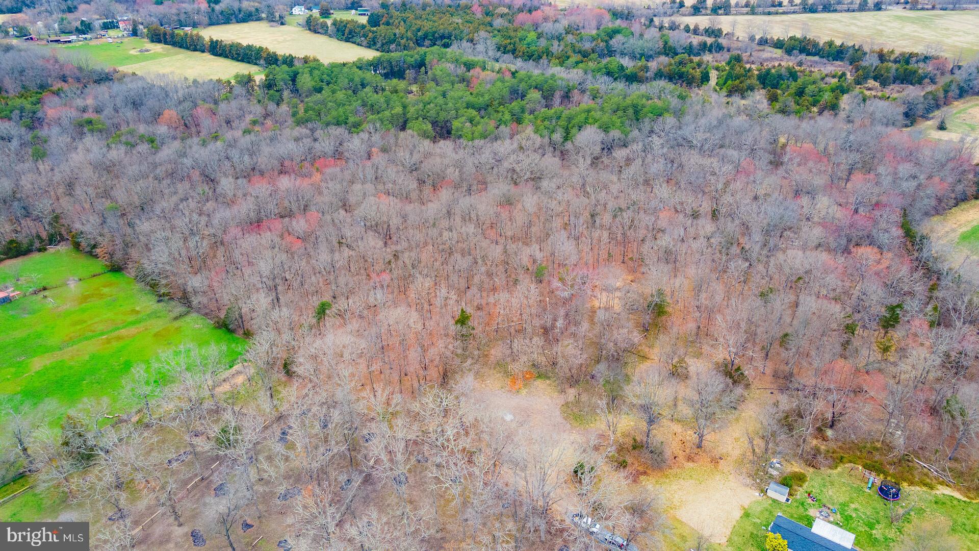 3018 Tenerife Road Catlett, VA 20119 - Photo 10 of 14 Gallery Image 10