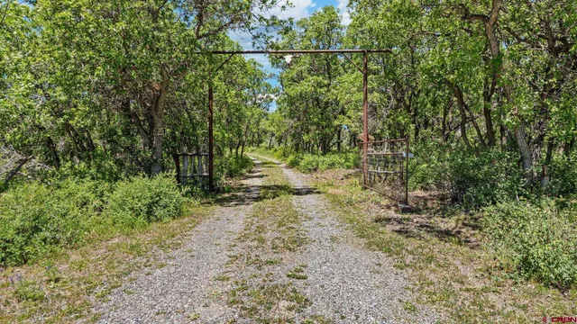 $369,000 | 25859 Horse Creek Drive, Cedaredge, CO 81413