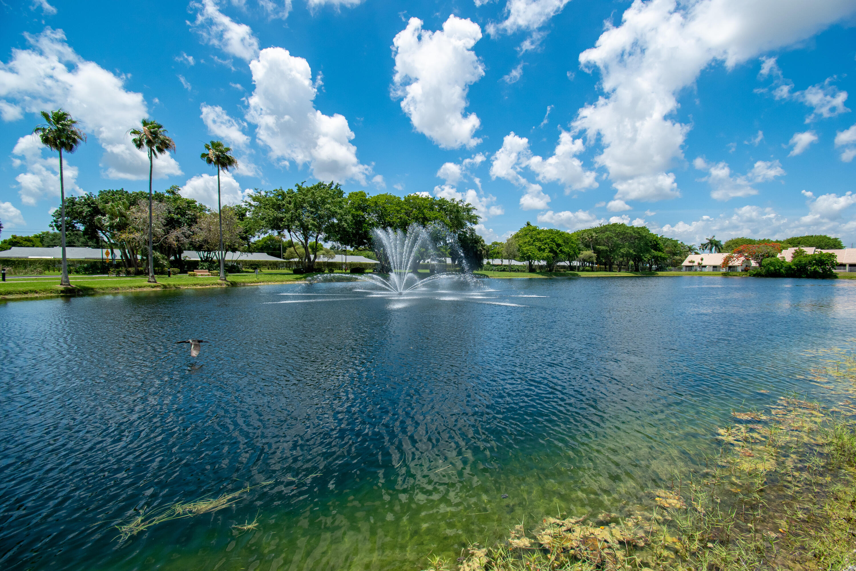 9708 Erica Court Boca Raton, FL 33496 - Photo 47 of 54 a view of a lake with houses in the back