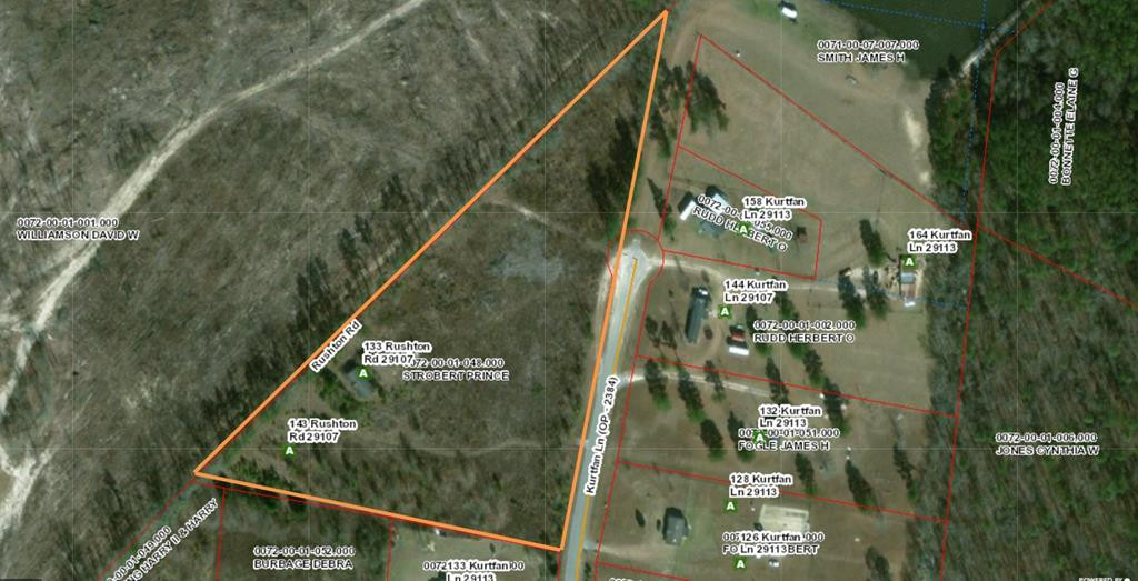 133 Rushton Road Norway, SC 29113 - Photo 1 of 2 Main View