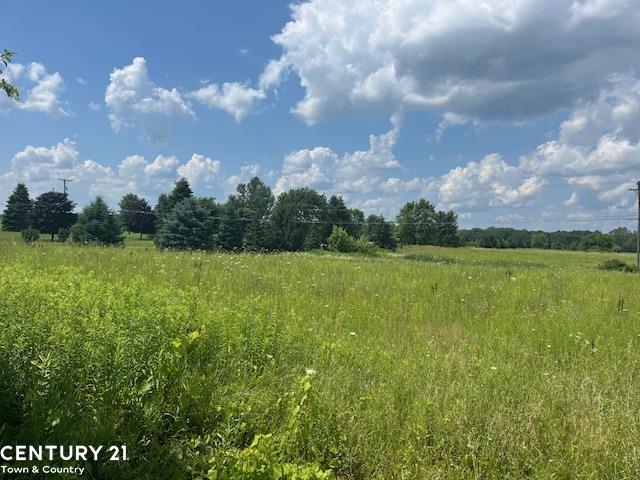 6839 Dryden Road Almont, MI 48003 - Photo 2 of 7