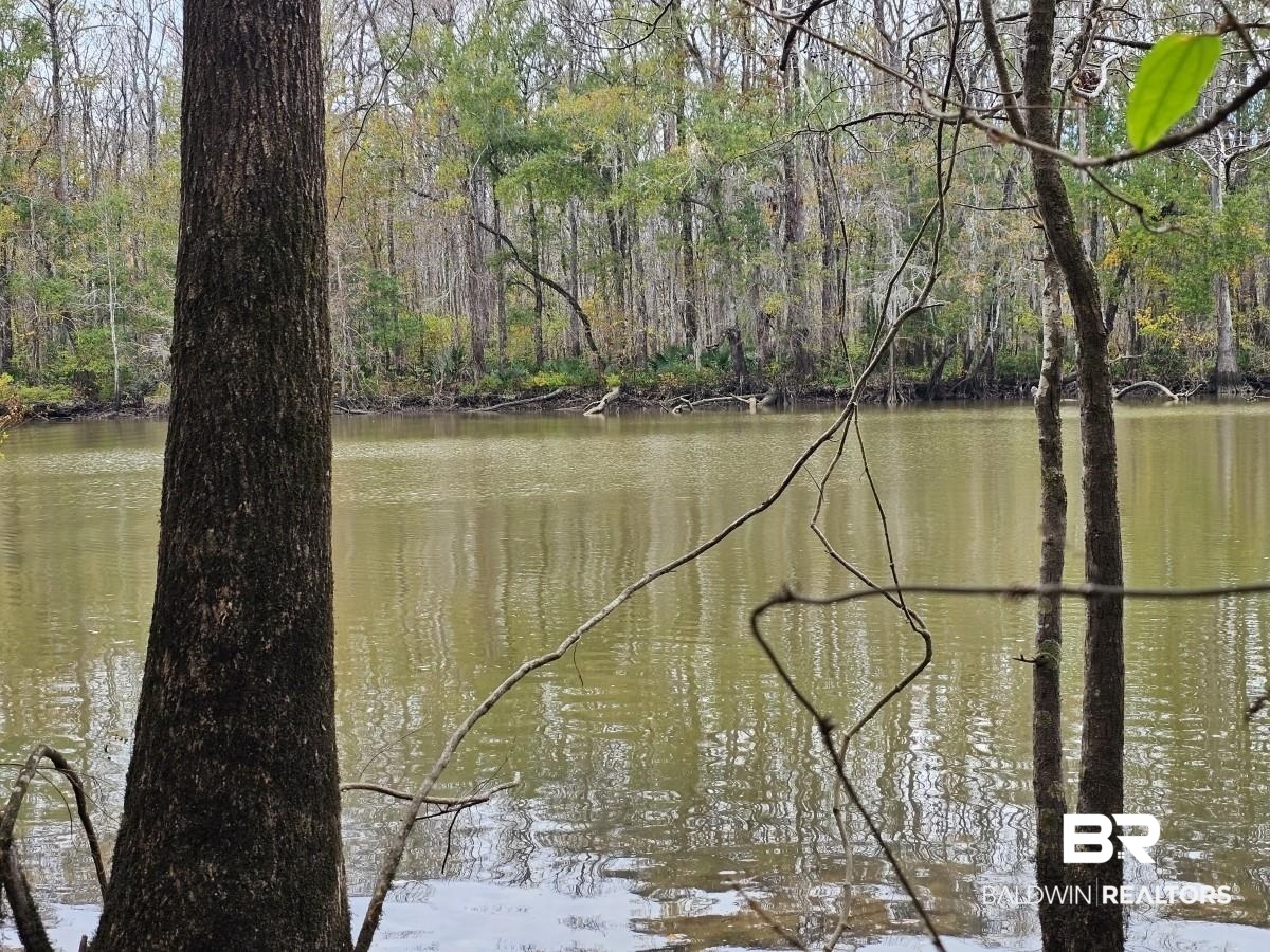 8515 Club House Road Bay Minette, AL 36507 - Photo 15 of 19