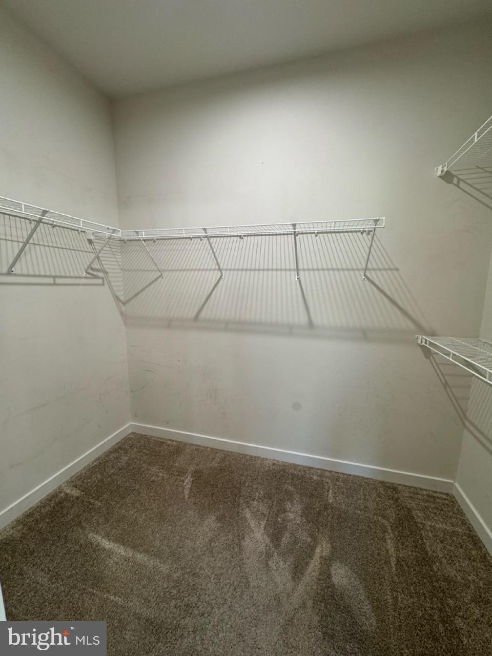 213 Wynstone Court Colmar, PA 18915 - Photo 33 of 39 walk in closet