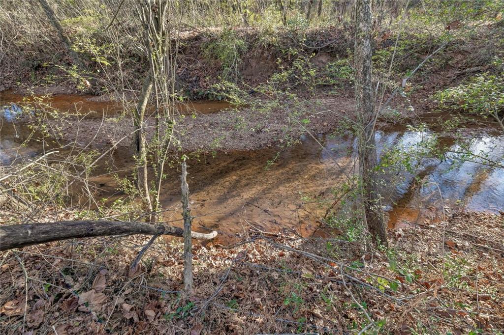 4239 Mangum Mill Road Gainesville, GA 30507 - Photo 30 of 33 a view of a dry yard with wooden fence