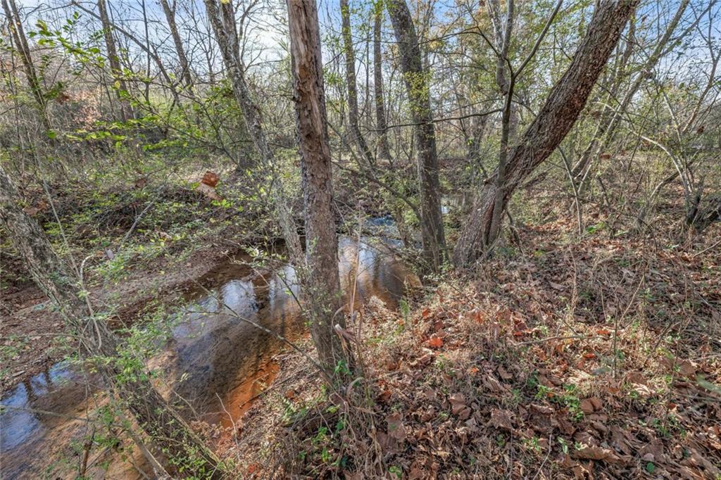 4239 Mangum Mill Road Gainesville, GA 30507 - Photo 32 of 33 a view of a forest with lots of trees