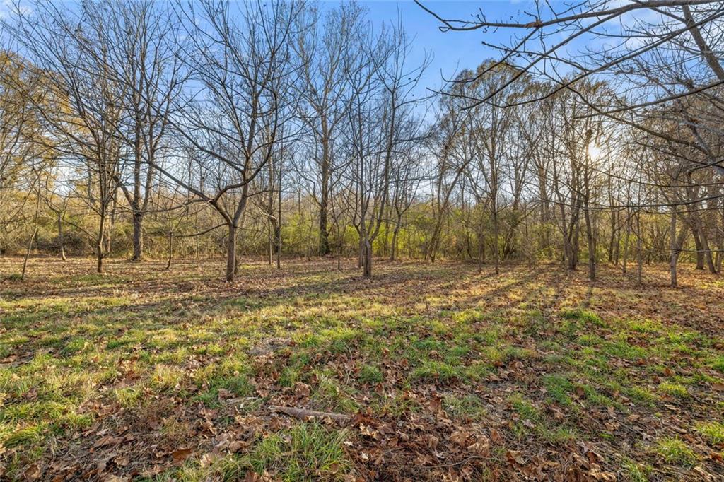 4239 Mangum Mill Road Gainesville, GA 30507 - Photo 33 of 33 a view of yard covered with trees