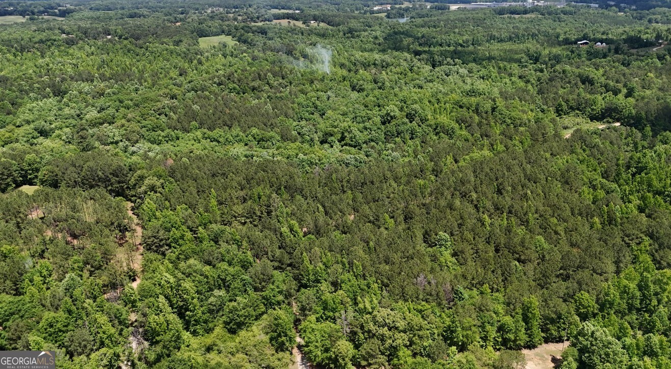 0 Creek Road, Unit LOT 8 Ashland, AL 36251 - Photo 6 of 25