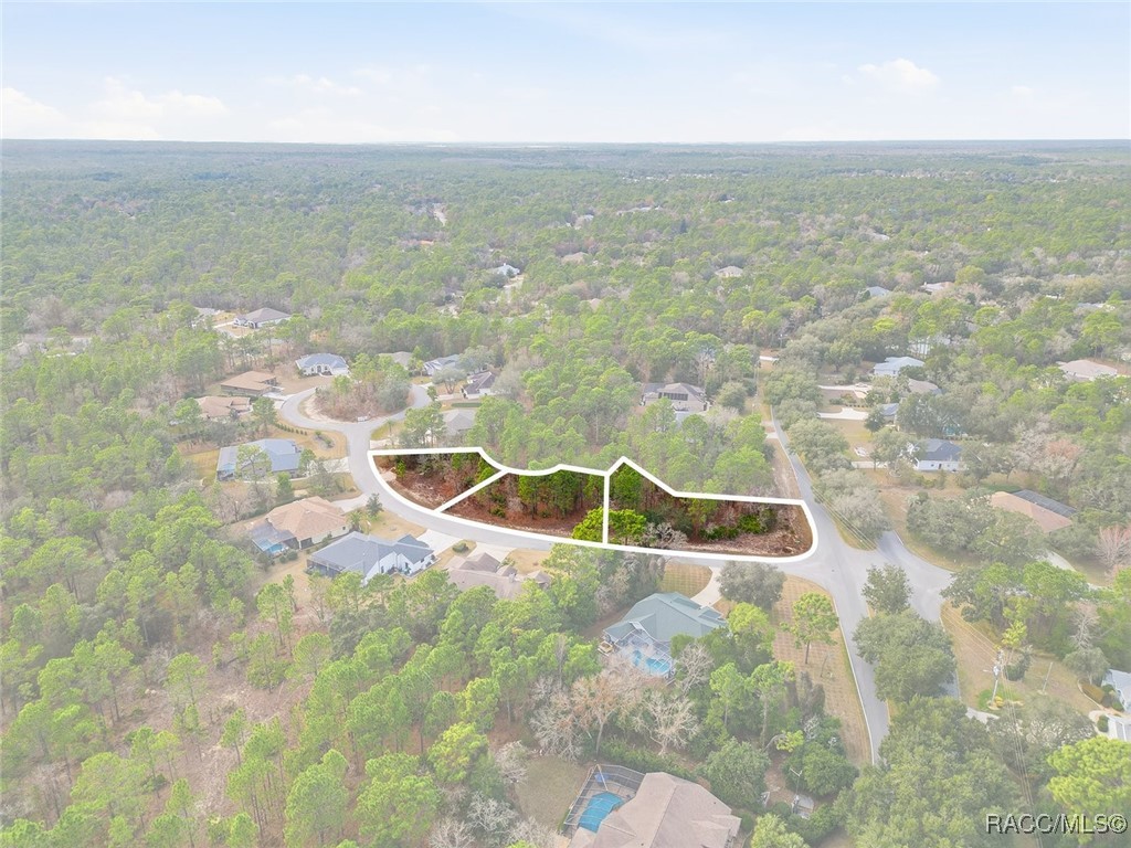 2 Nephthytis Court Homosassa, FL 34446 - Photo 3 of 21