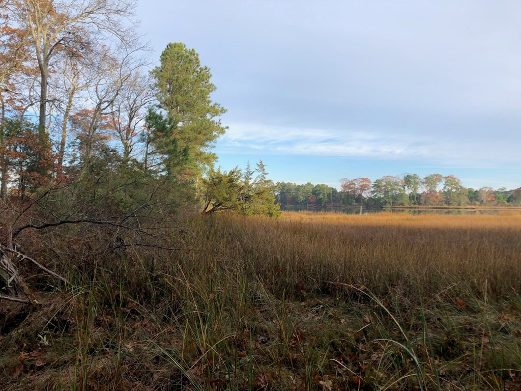 Lot 7 Lucas Trail, Unit 7 Machipongo, VA 23405 - Photo 3 of 11