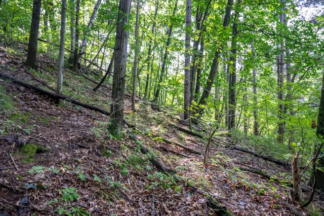 $430,000 | W8601 Highway 82, Elroy, WI 53929