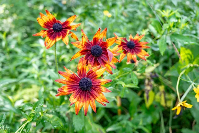 $430,000 | W8601 Highway 82, Elroy, WI 53929