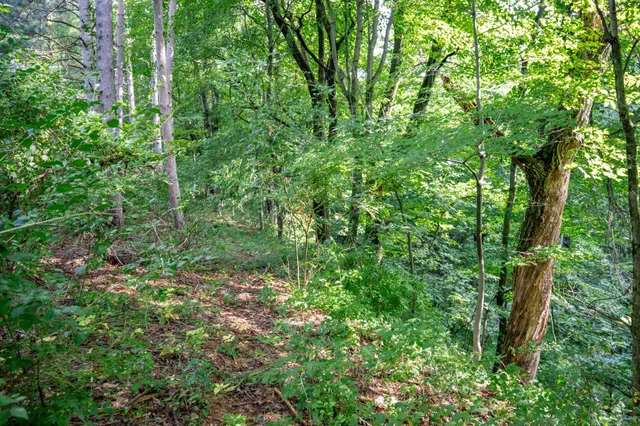 $430,000 | W8601 Highway 82, Elroy, WI 53929