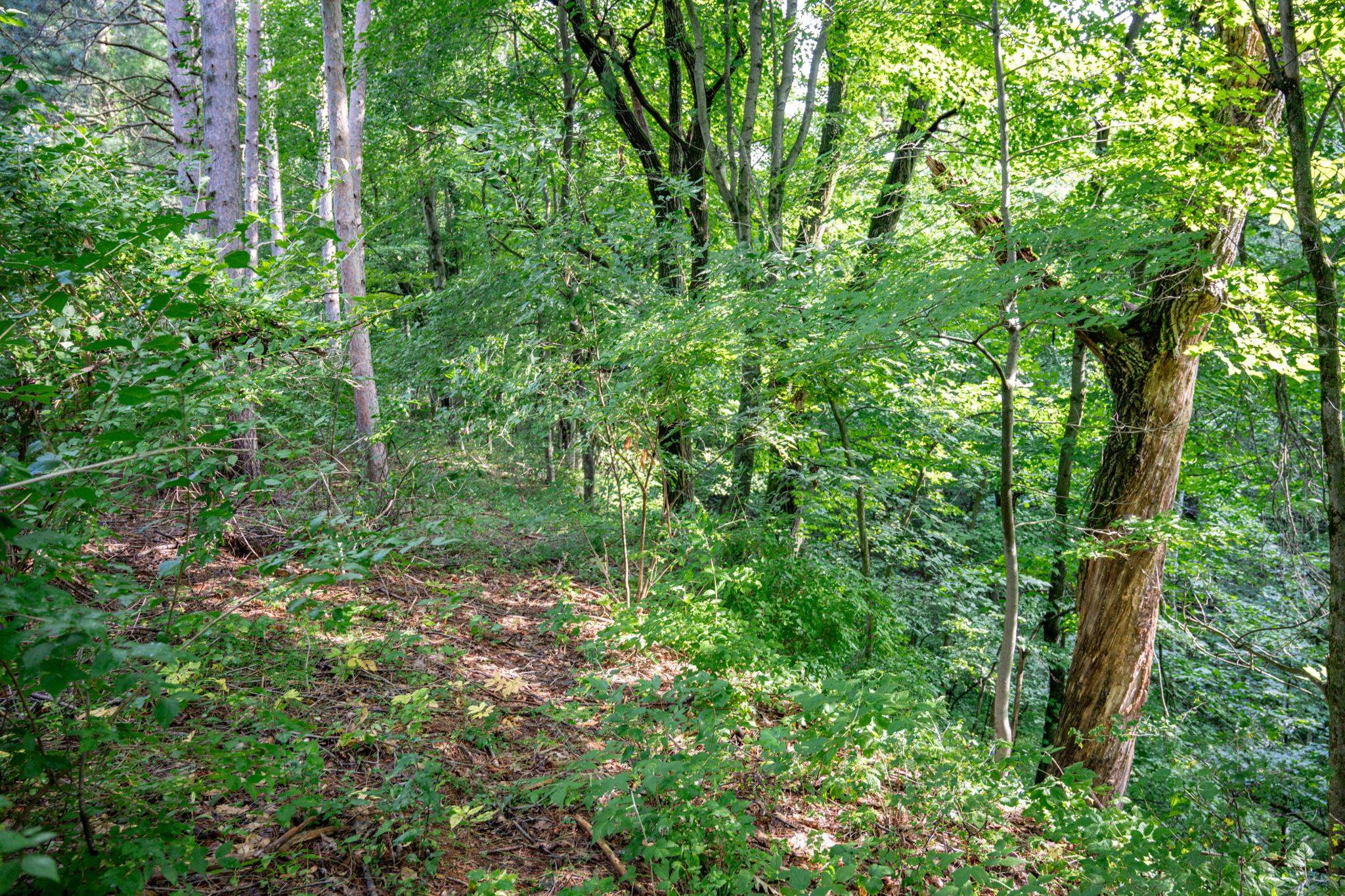 W8601 Highway 82 Elroy, WI 53929 - Photo 48 of 55