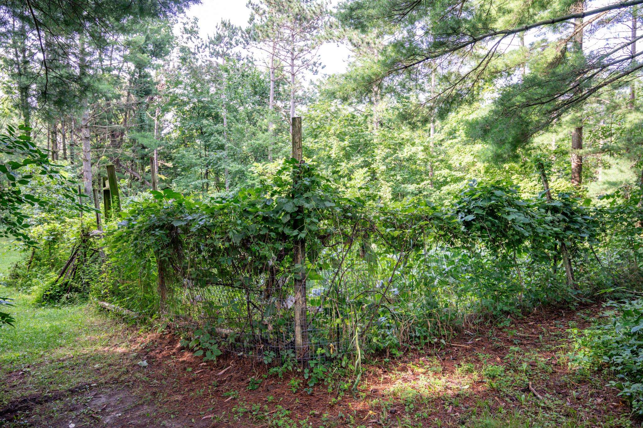 W8601 Highway 82 Elroy, WI 53929 - Photo 49 of 55