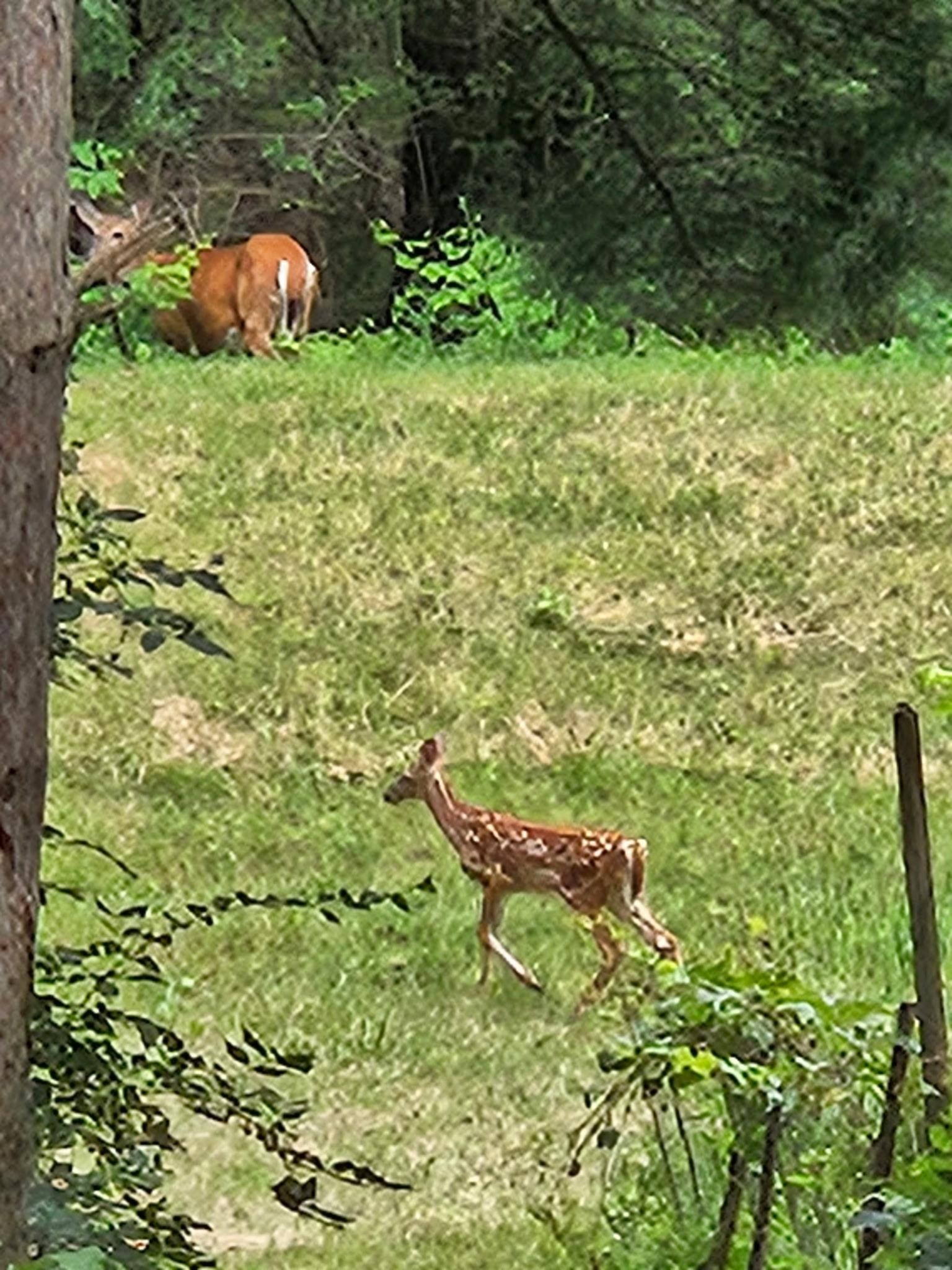 W8601 Highway 82 Elroy, WI 53929 - Photo 52 of 55