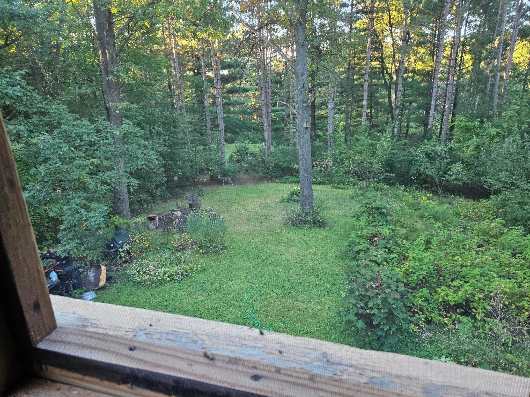 W8601 Highway 82 Elroy, WI 53929 - Photo 53 of 55