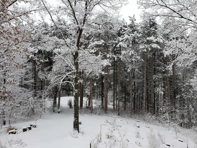 $430,000 | W8601 Highway 82, Elroy, WI 53929