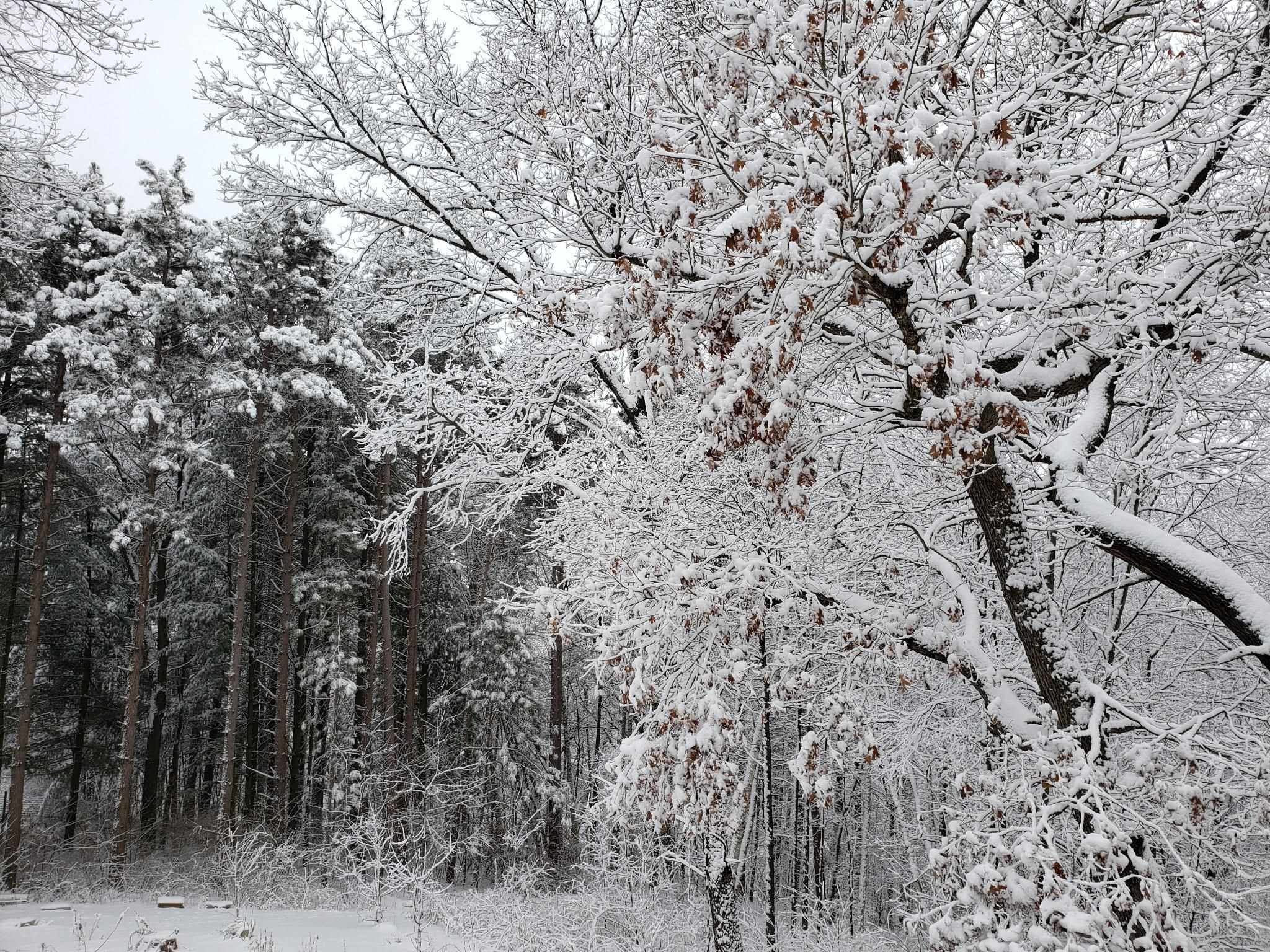 W8601 Highway 82 Elroy, WI 53929 - Photo 55 of 55