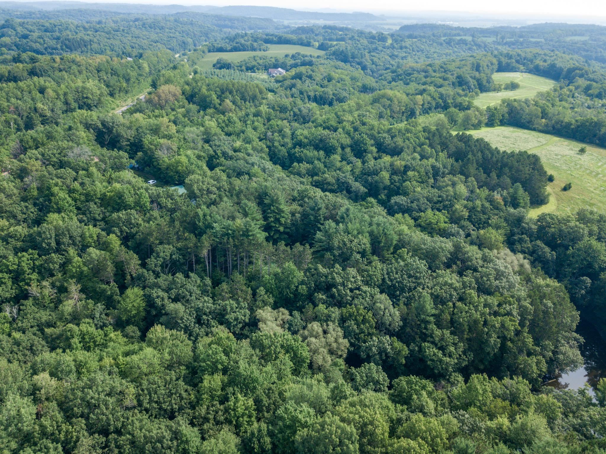 W8601 Highway 82 Elroy, WI 53929 - Photo 8 of 55