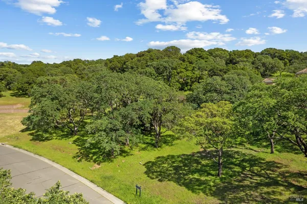 a view of a green field with lots of bushes