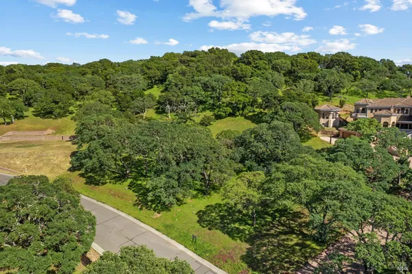 a view of a yard with a tree