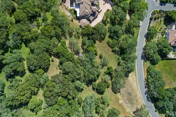 an aerial view of a residential houses with outdoor space and trees