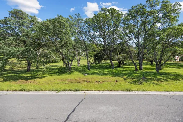 a view of a trees with a yard