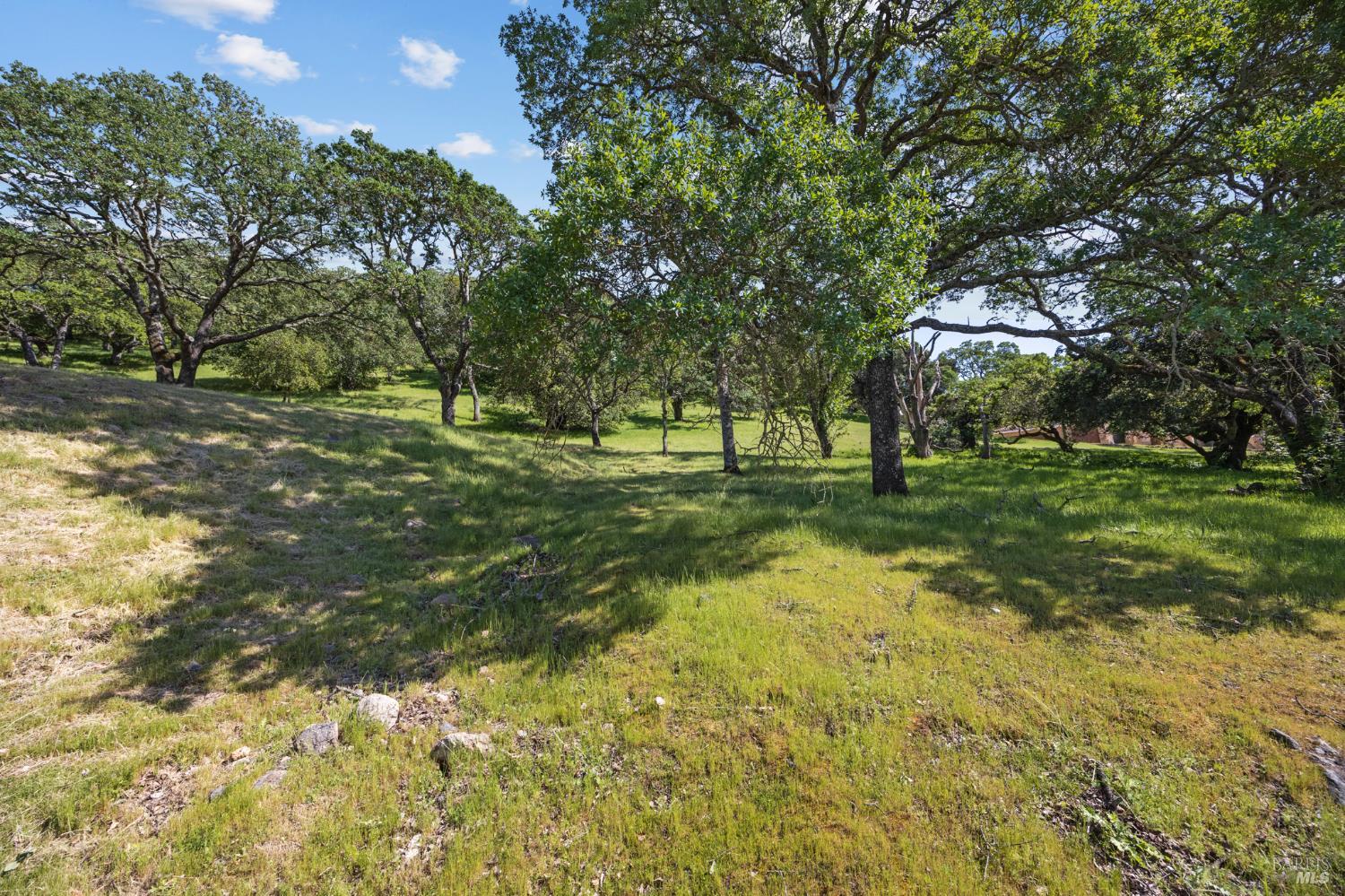 738 Bridle Ridge Court Fairfield, CA 94534 - Photo 7 of 31