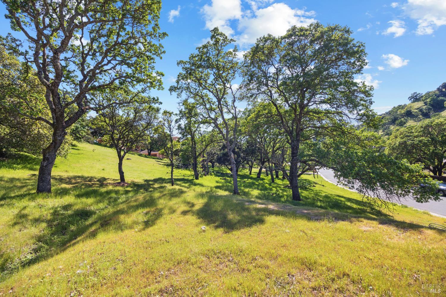 738 Bridle Ridge Court Fairfield, CA 94534 - Photo 8 of 31