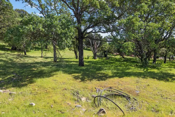 a view of a backyard with green space