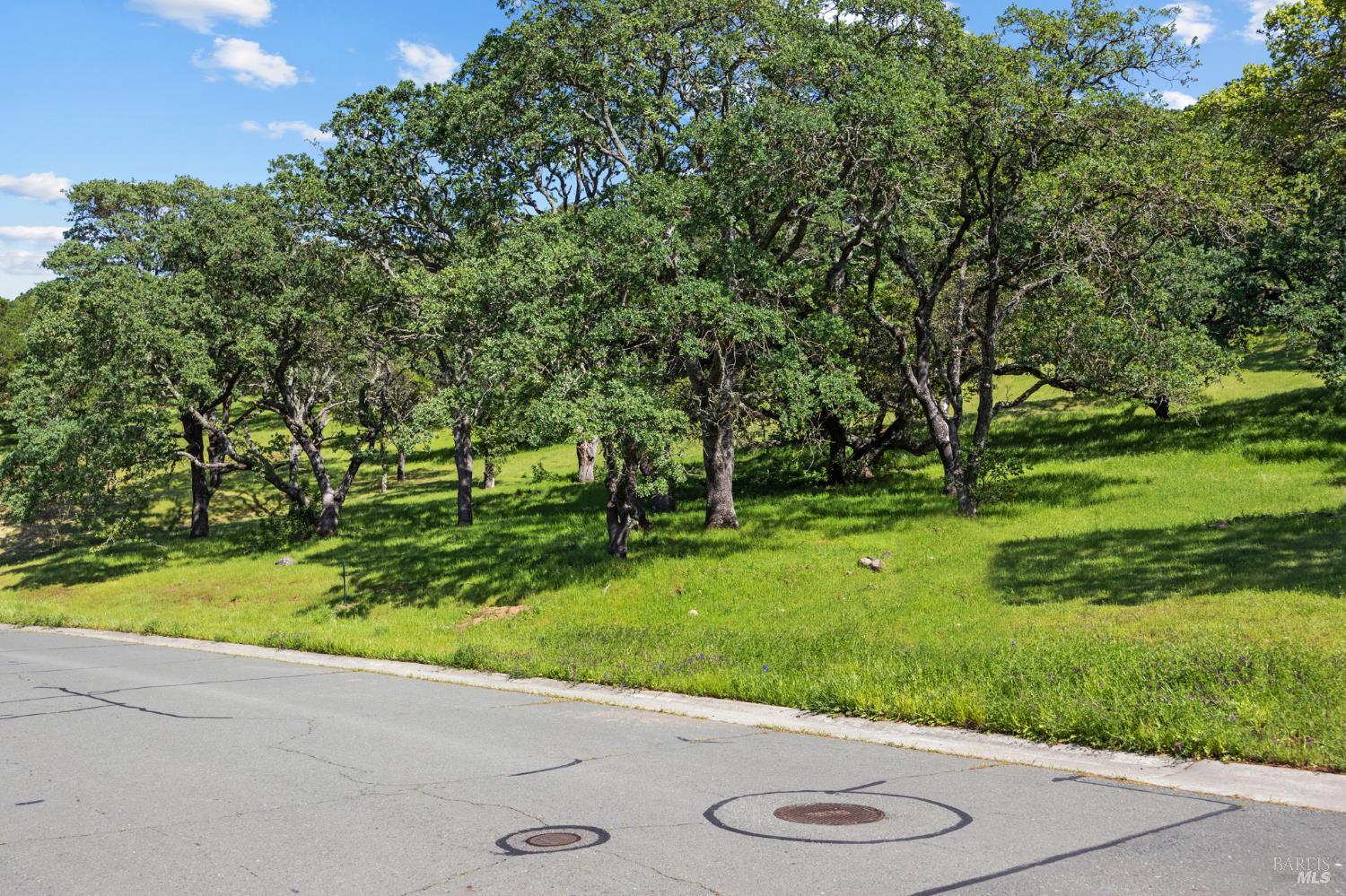 738 Bridle Ridge Court Fairfield, CA 94534 - Photo 10 of 31