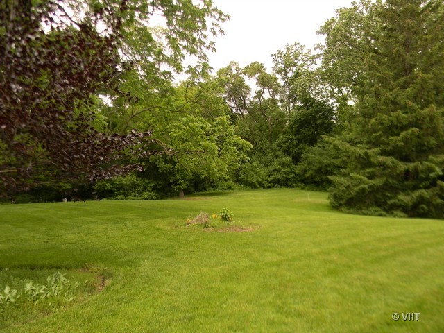 200 River Bluff Road Elgin, IL 60120 - Photo 18 of 19 a view of a field with an outdoor space