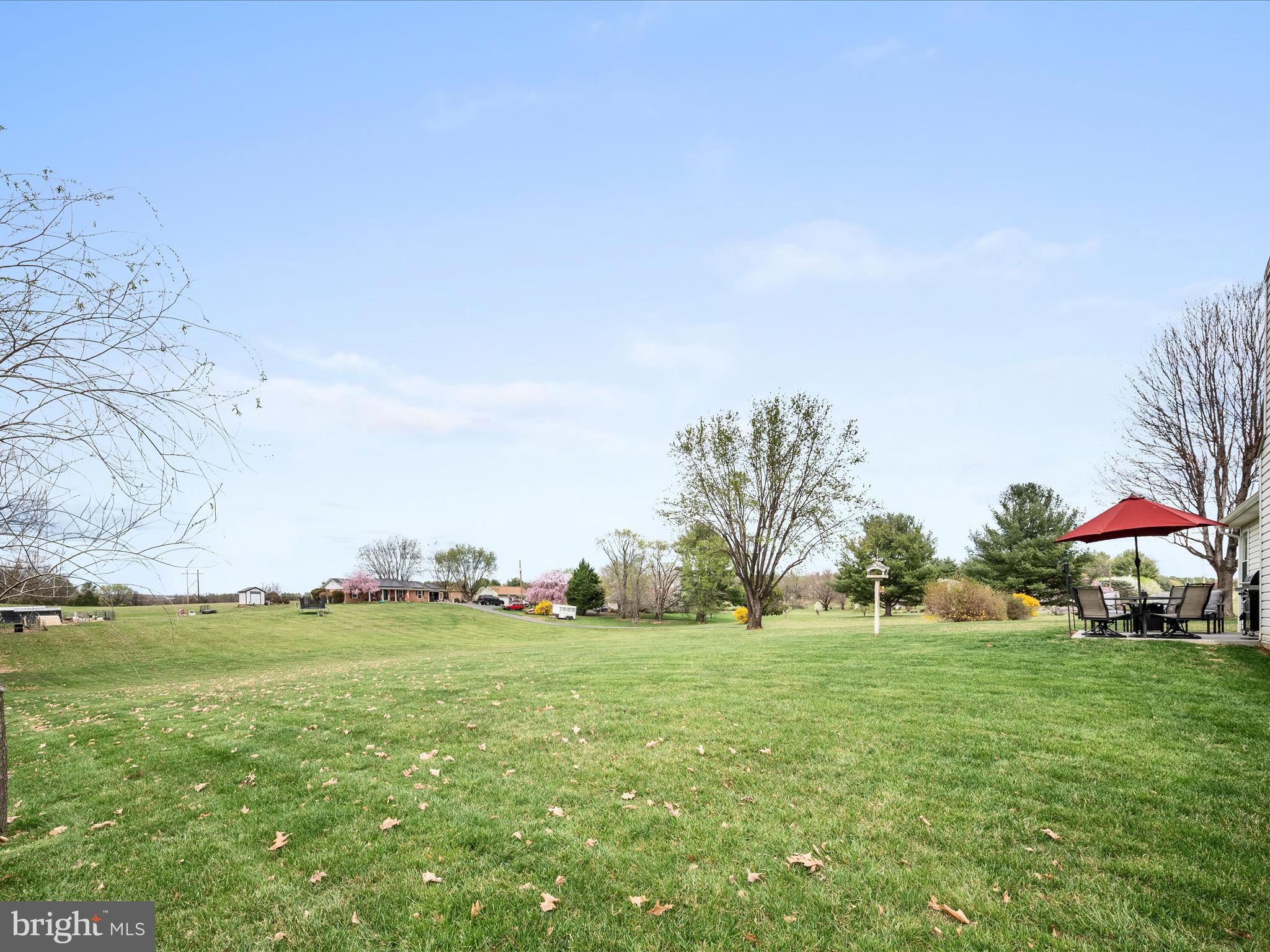 993 Rockland Road Front Royal, VA 22630 - Photo 30 of 37 a view of yard with swimming pool and green space