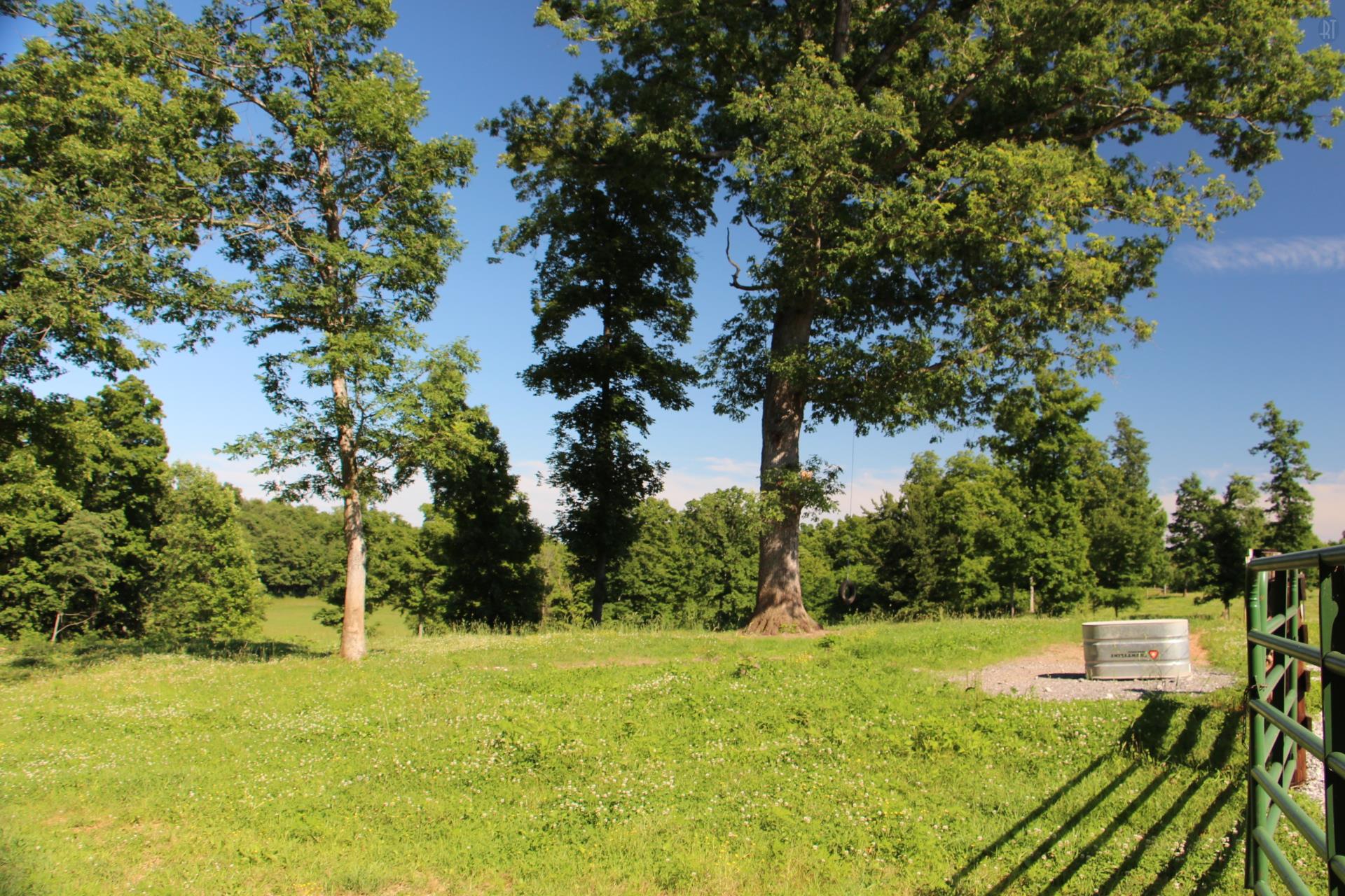 2341 Gunn Road Springfield, TN 37172 - Photo 22 of 27 a view of yard with green space