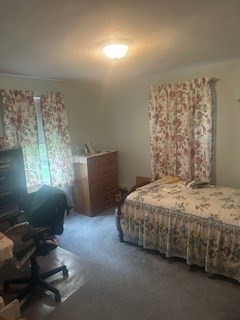 44 Maebeth Street Springfield, MA 01119 - Photo 8 of 19 Gallery Image 8