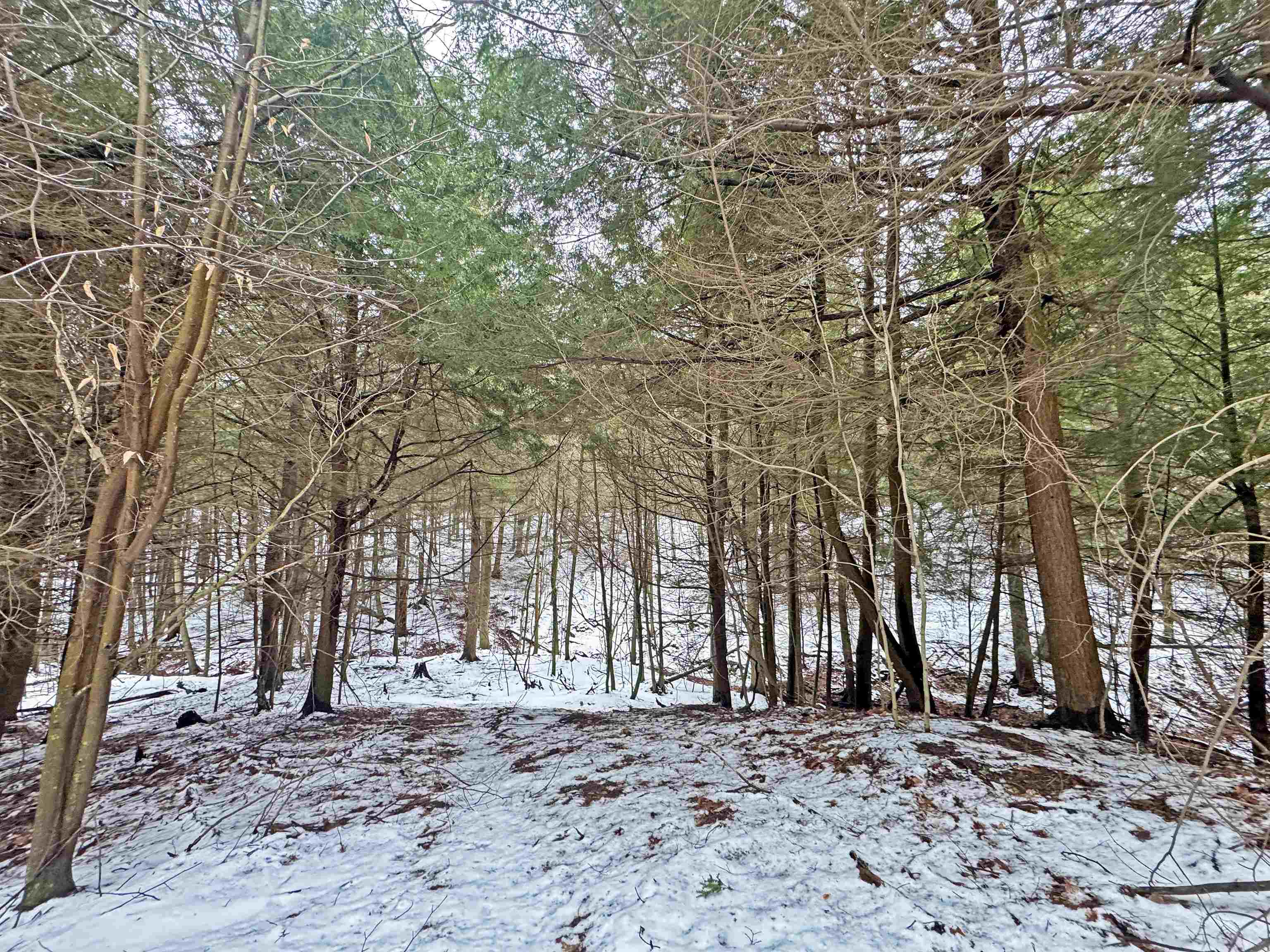 82-107 Moon Ridge Road, Unit LOT: 82,107 Onekama, MI 49675 - Photo 37 of 48