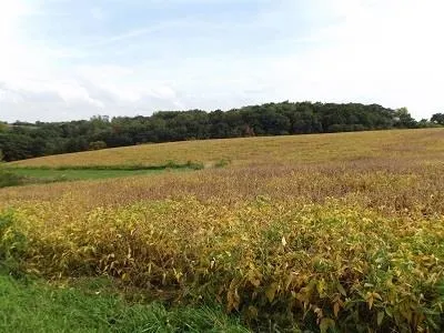 $420,000 | 28-acres Sand Hill Road, Boscobel, WI 53805