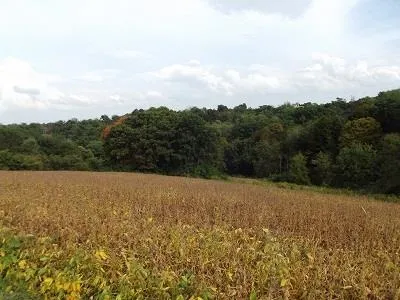 $420,000 | 28-acres Sand Hill Road, Boscobel, WI 53805