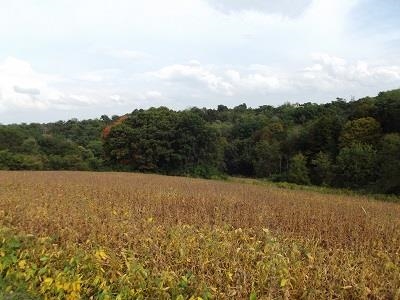28-acres Sand Hill Road Boscobel, WI 53805 - Photo 11 of 14