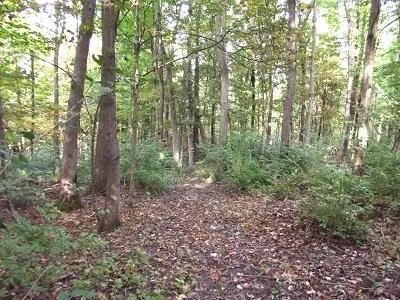 $420,000 | 28-acres Sand Hill Road, Boscobel, WI 53805