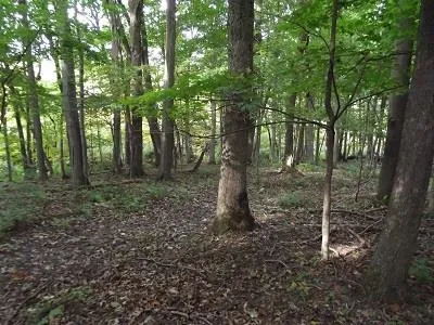 $420,000 | 28-acres Sand Hill Road, Boscobel, WI 53805