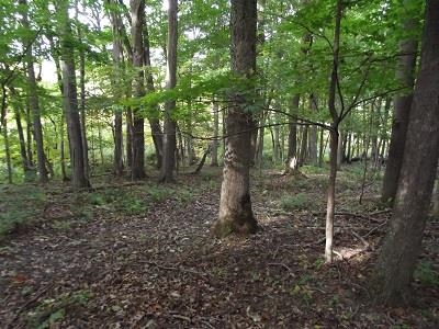 28-acres Sand Hill Road Boscobel, WI 53805 - Photo 14 of 14