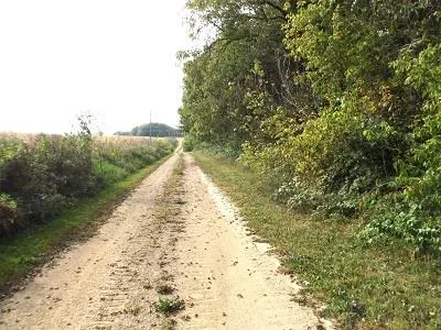 $420,000 | 28-acres Sand Hill Road, Boscobel, WI 53805