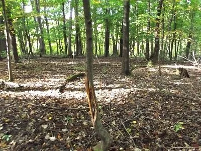 $420,000 | 28-acres Sand Hill Road, Boscobel, WI 53805