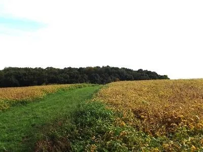 $420,000 | 28-acres Sand Hill Road, Boscobel, WI 53805