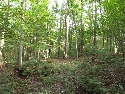 $420,000 | 28-acres Sand Hill Road, Boscobel, WI 53805