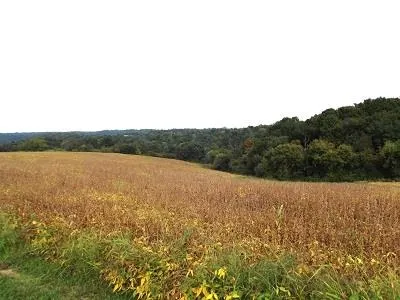 $420,000 | 28-acres Sand Hill Road, Boscobel, WI 53805