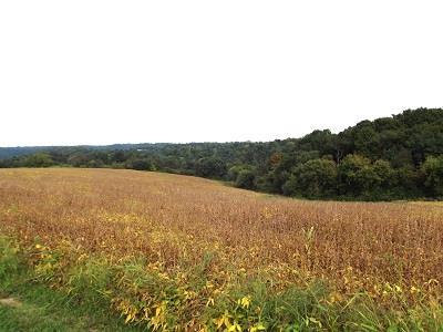 28-acres Sand Hill Road Boscobel, WI 53805 - Photo 7 of 14