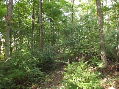 28-acres Sand Hill Road Boscobel, WI 53805 - Photo 8 of 14