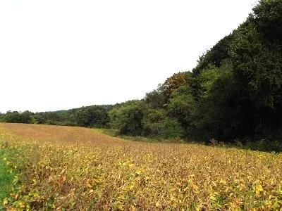 $420,000 | 28-acres Sand Hill Road, Boscobel, WI 53805